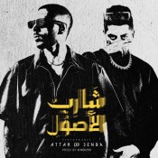 كلمات اغنية شارب الأصول