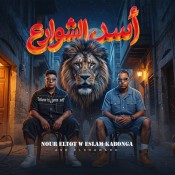 كلمات مهرجان أسد الشوارع