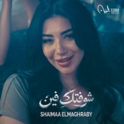 كلمات اغنية شوفتك فين